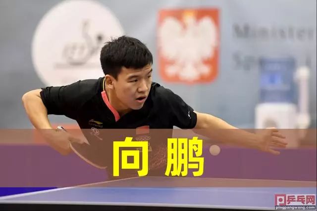 竞选手的代