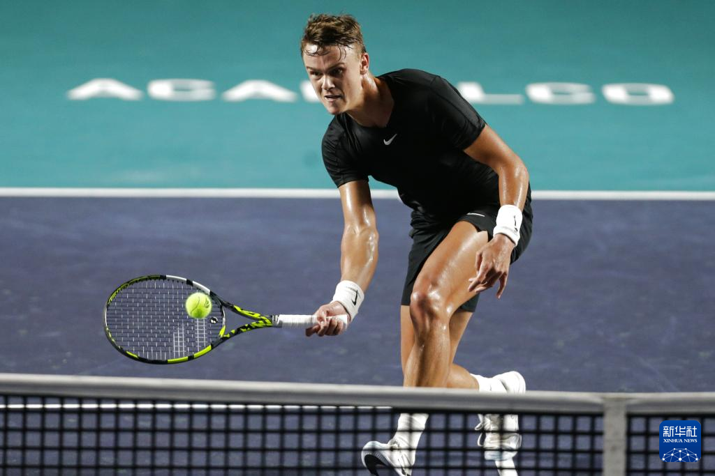 尼克斯展现 尼克斯展现