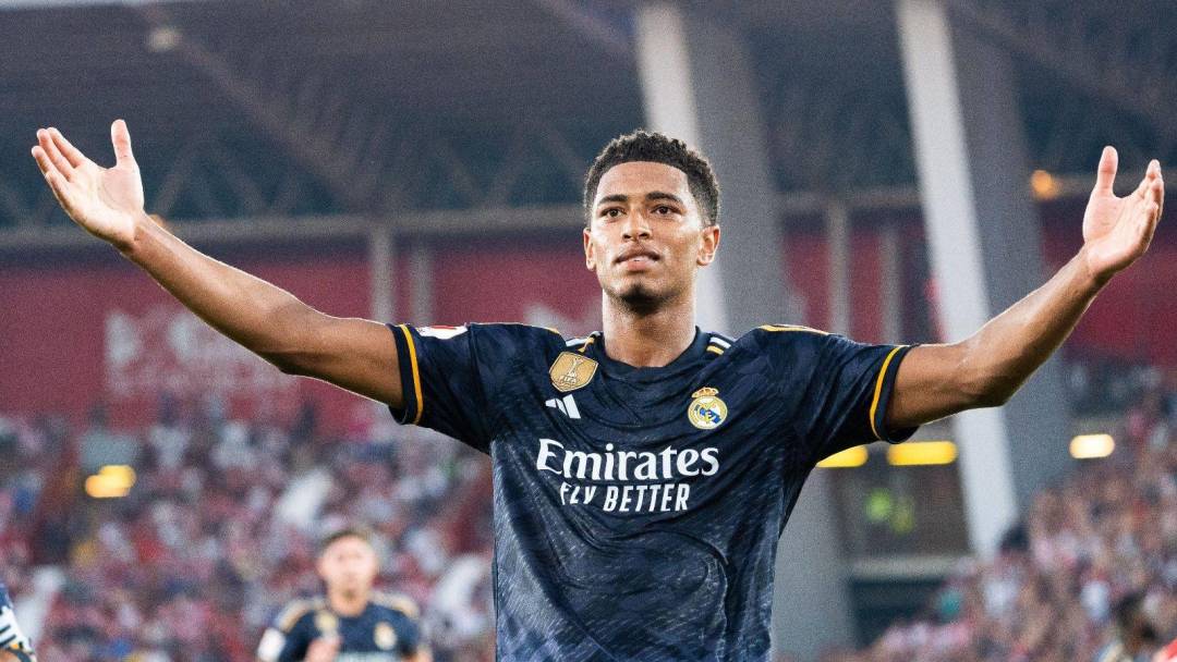 为何备受青 为何备受青